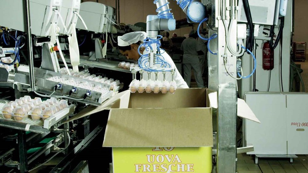 La automatización de procesos industria alimentaria
