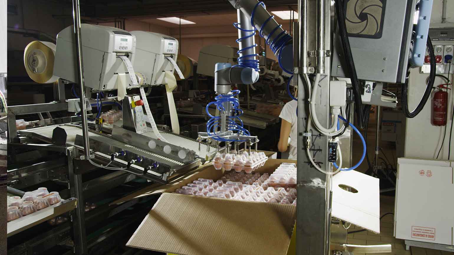 packaging robot manufacturers