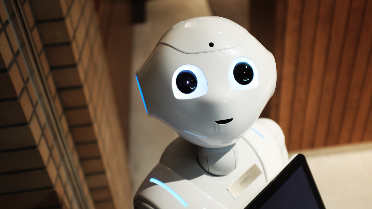 Robots you can buy hot sale 2019