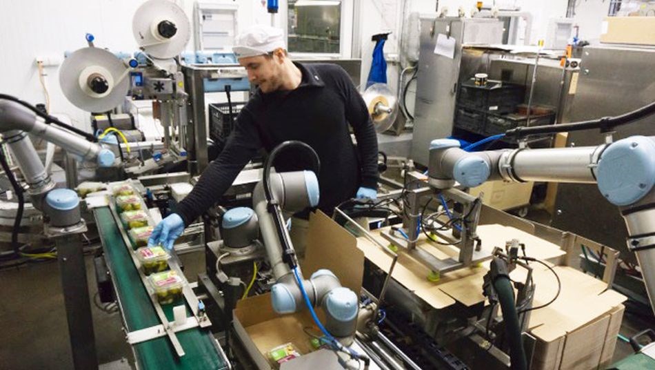 Ein Mann nimmt Gütern von einem Förderband. Neben ihm arbeiten drei kollaborierende Roboterarme von Universal Robots, die die Güter verpacken.