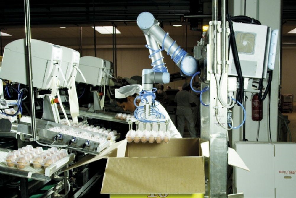 Packaging nel food, più efficiente ed economico grazie ai cobot - Universal Robots