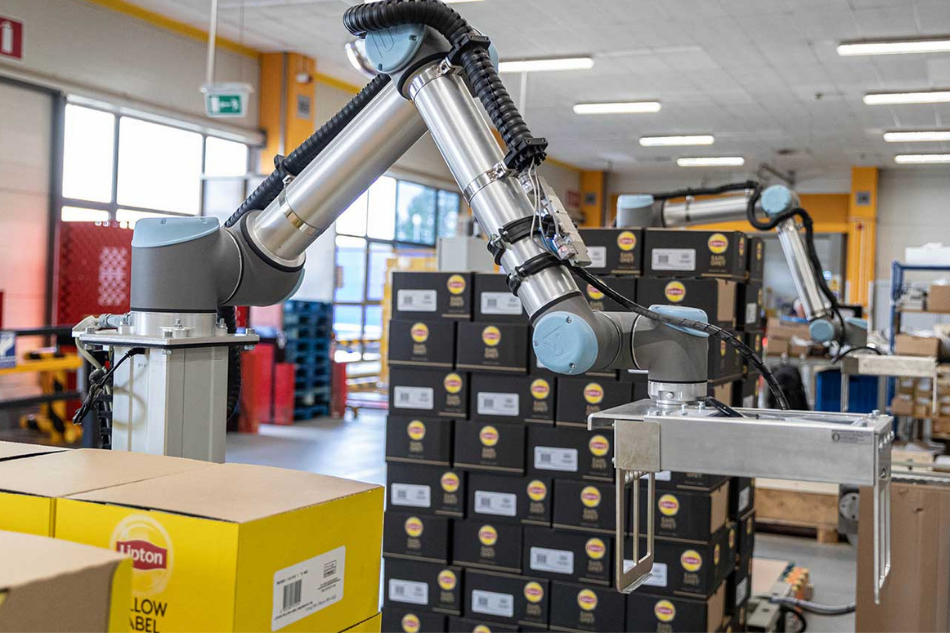 UR10 Roboter nimmt eine verpackte Kiste mit Teebeuteln