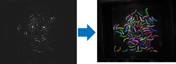 continuous surface perception