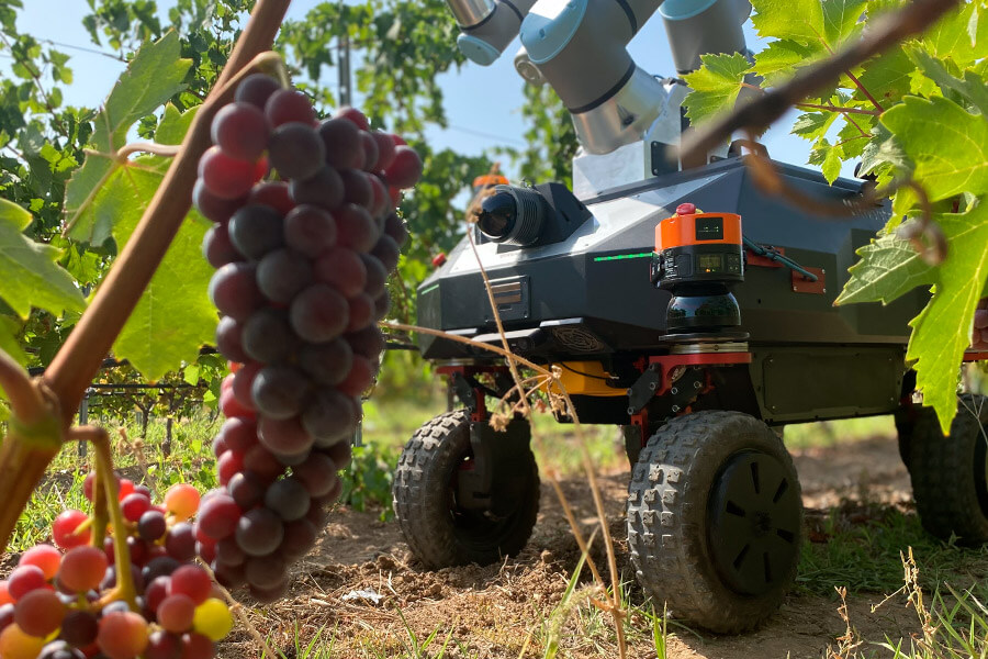 Transformando la agricultura: el auge de la robótica en los campos