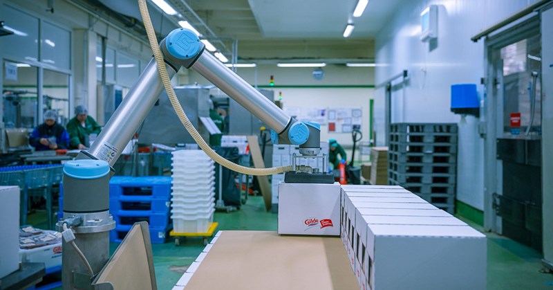 Esempi pratici di pallettizzazione con i cobot - Universal Robots