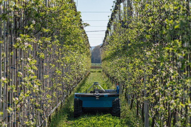 Agricoltura intelligente