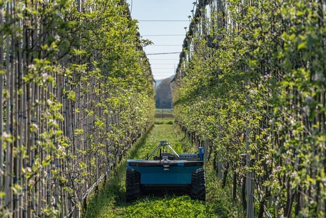 Robotica in agricoltura - Universal Robots