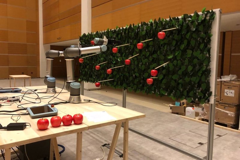 Raccolta della frutta automatizzata - Universal Robots